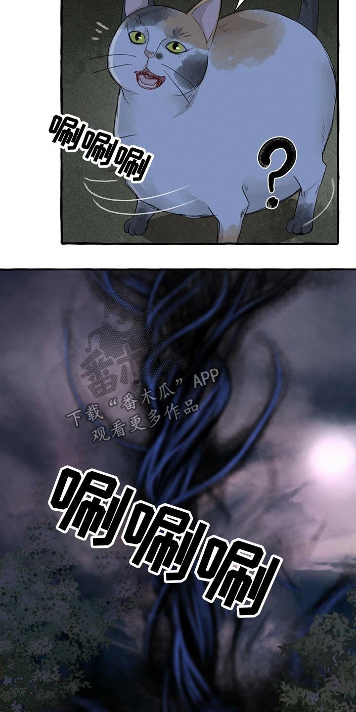 第131章：亲自出马