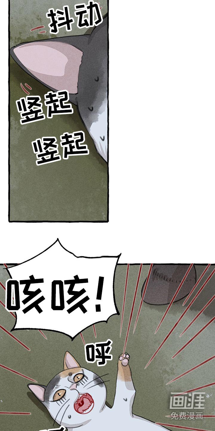 第143章：无法相信