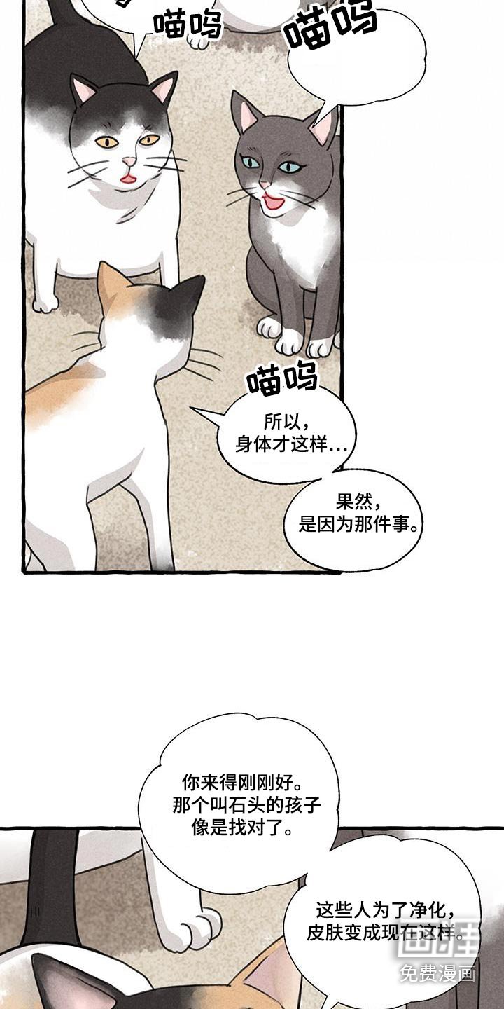 第167章：没关系