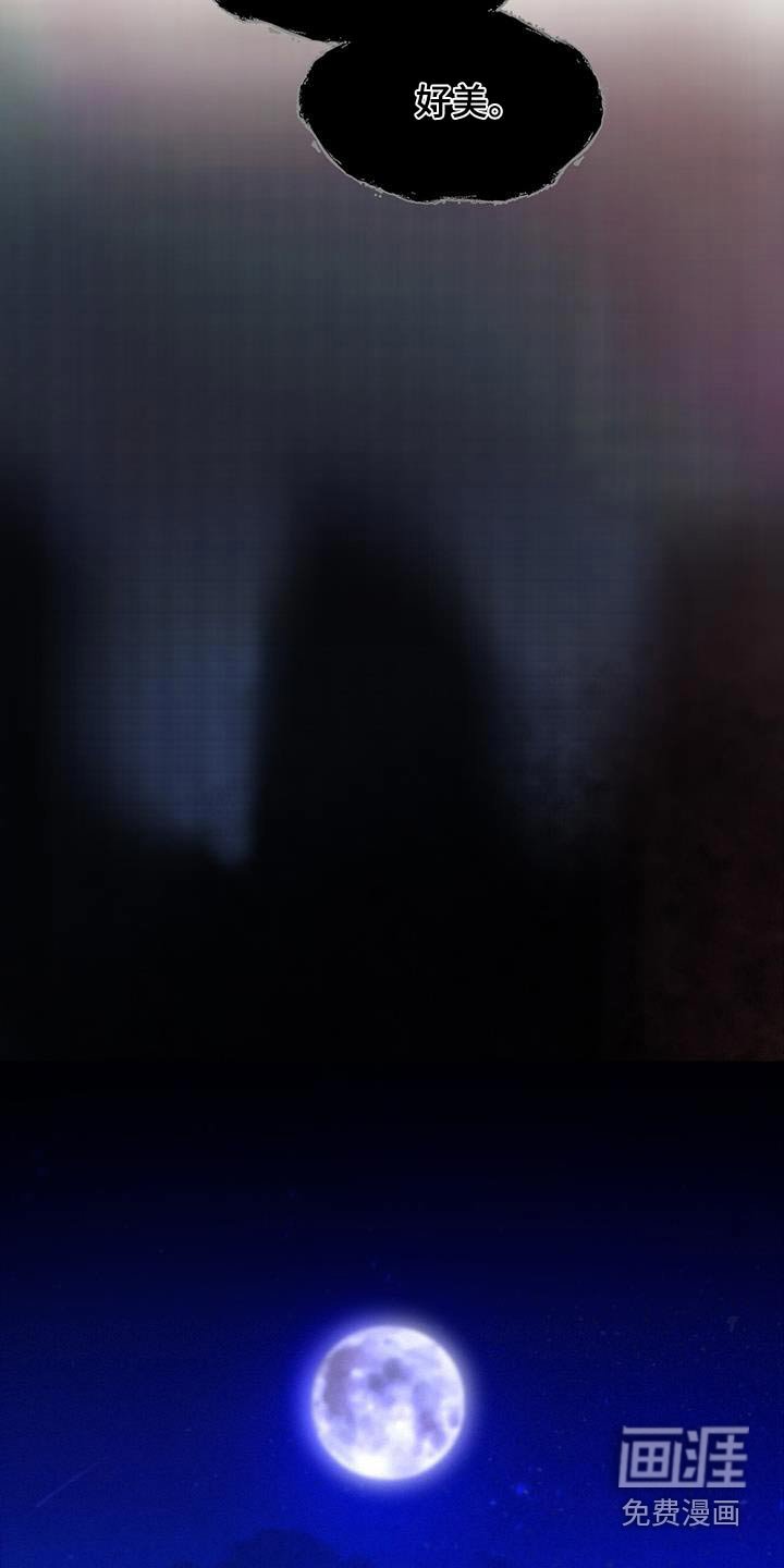 第171章：好美