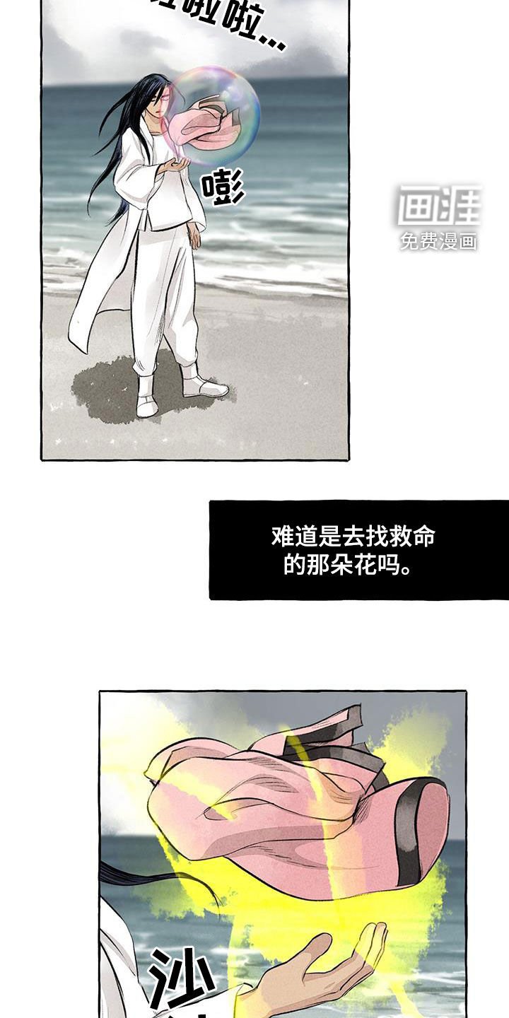 第181章：悬崖
