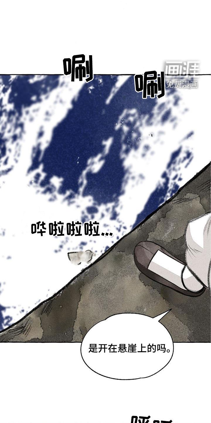 第181章：悬崖