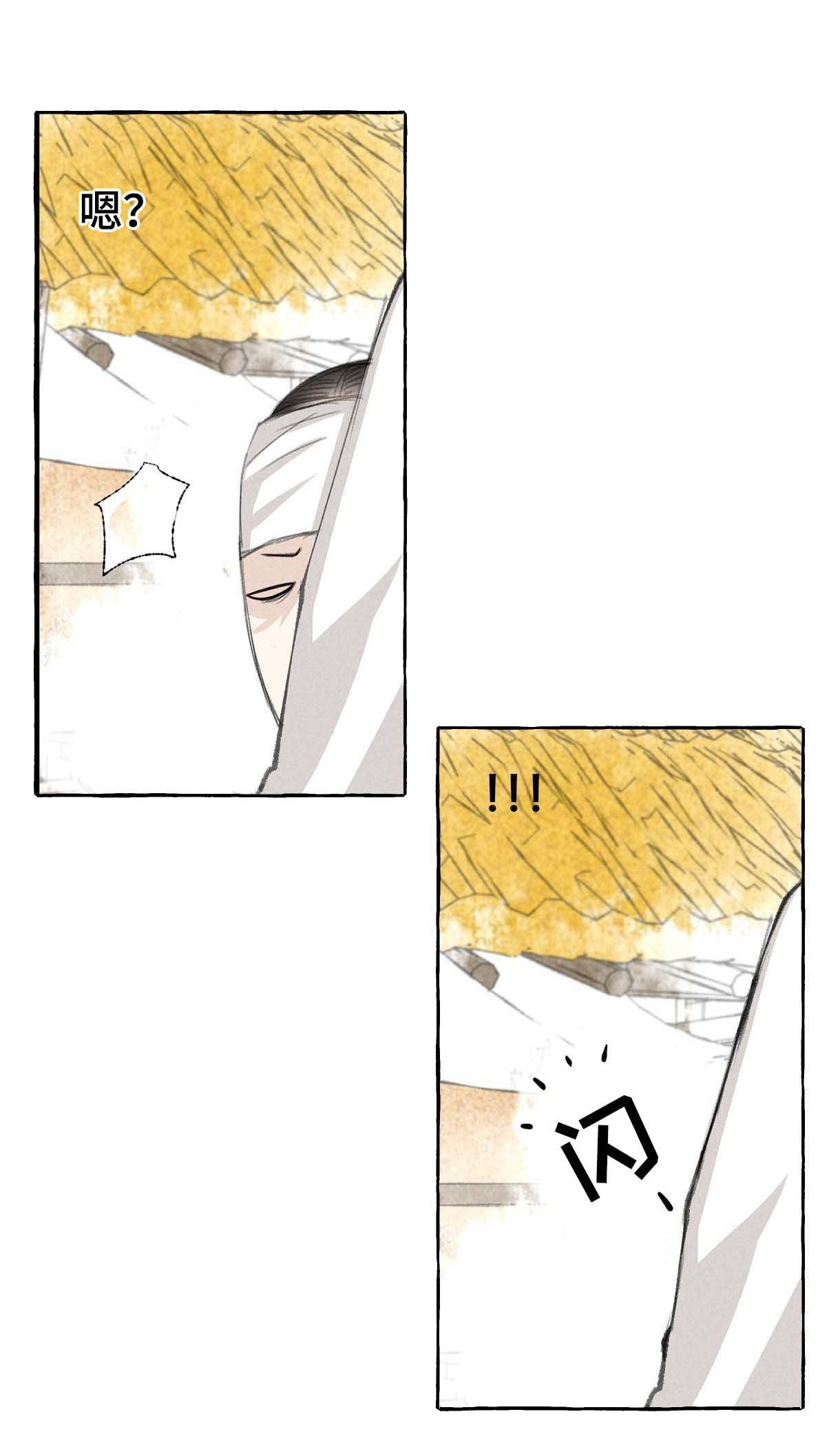 第29章：躲藏