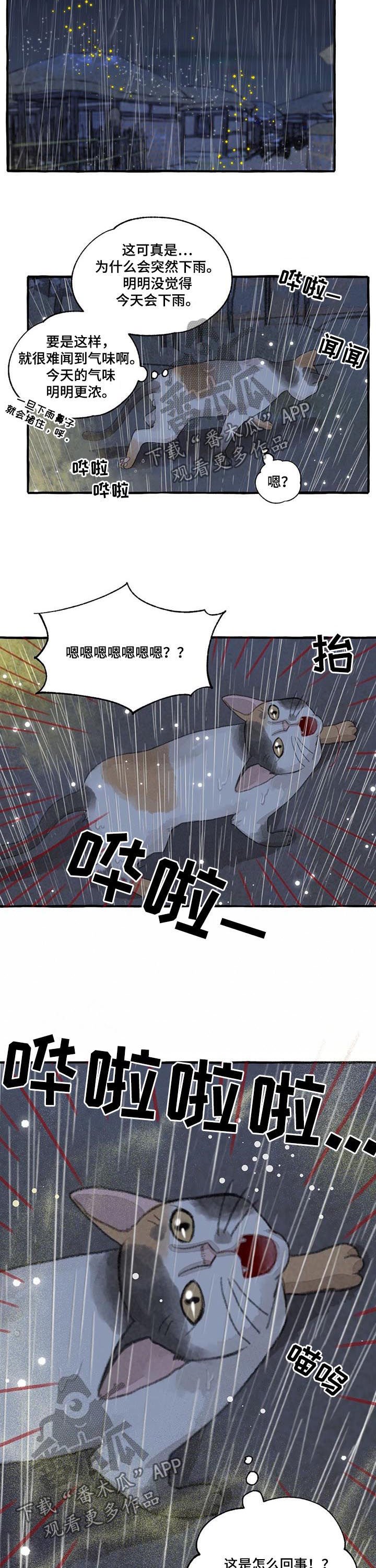 第93章：瑞雨