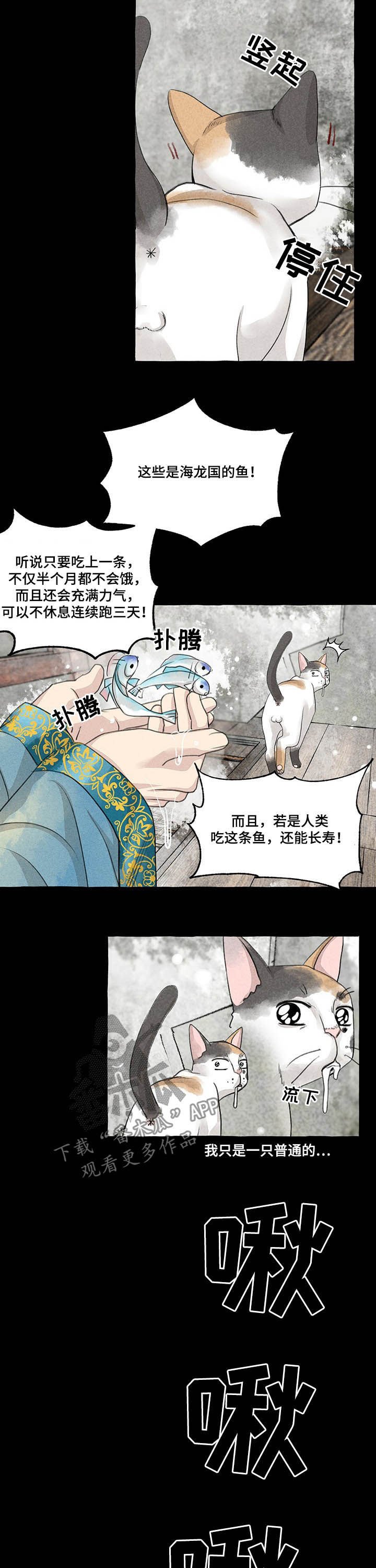 第98章：悬崖