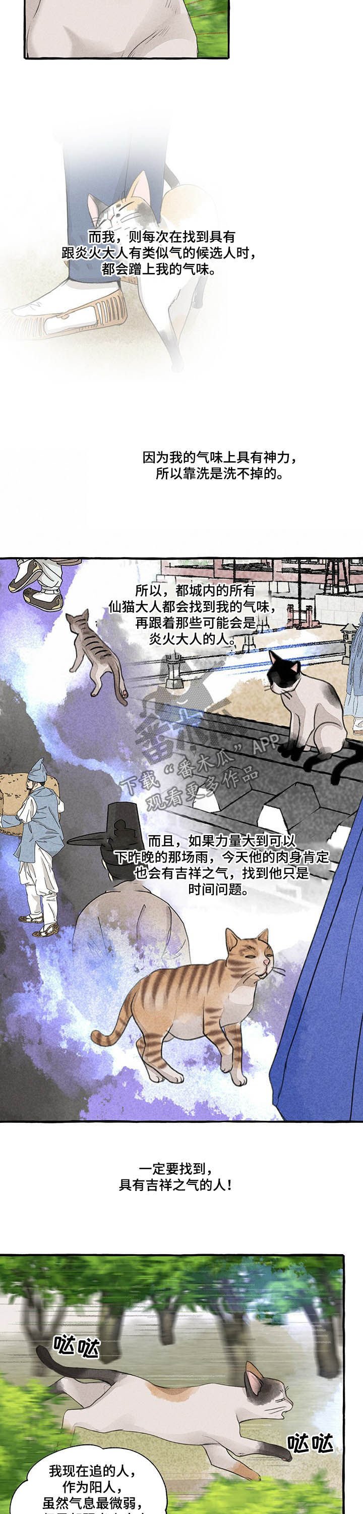 第98章：悬崖