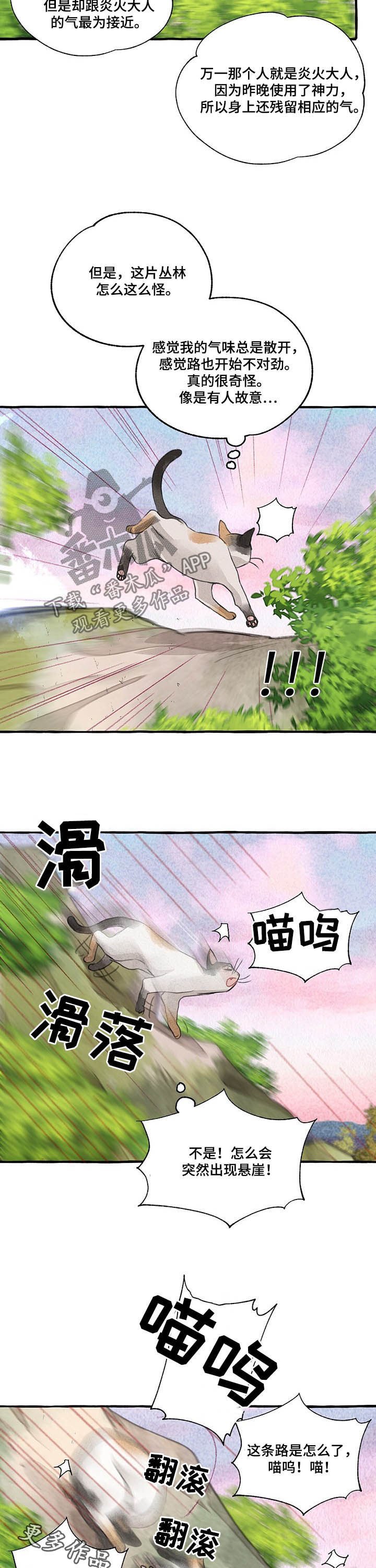 第98章：悬崖