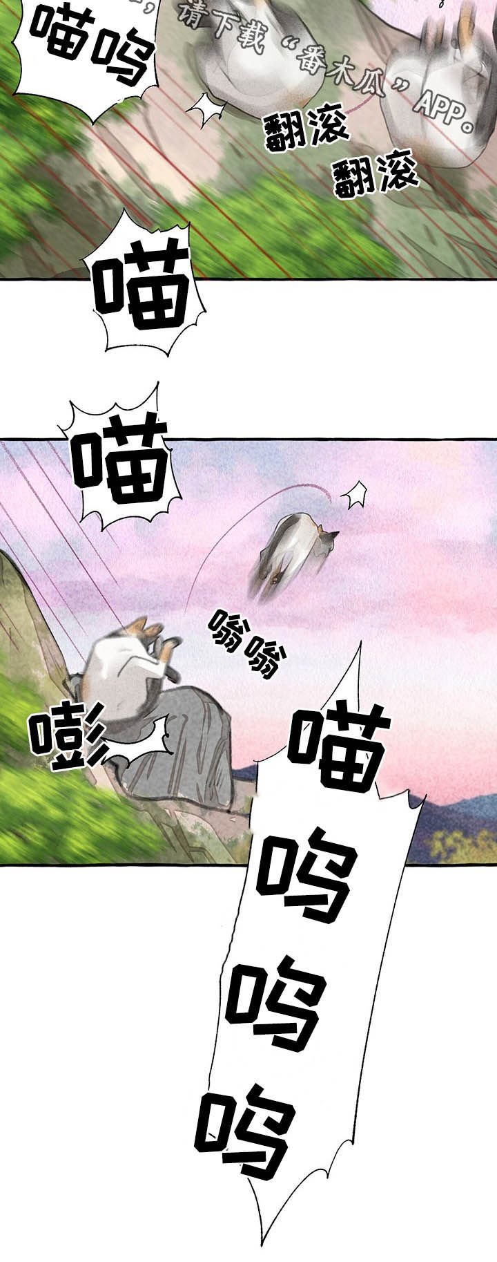 第98章：悬崖
