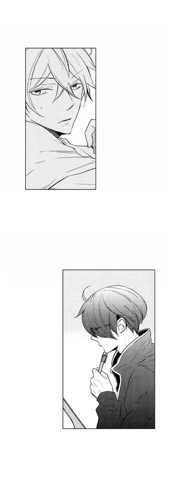 第19章：期望