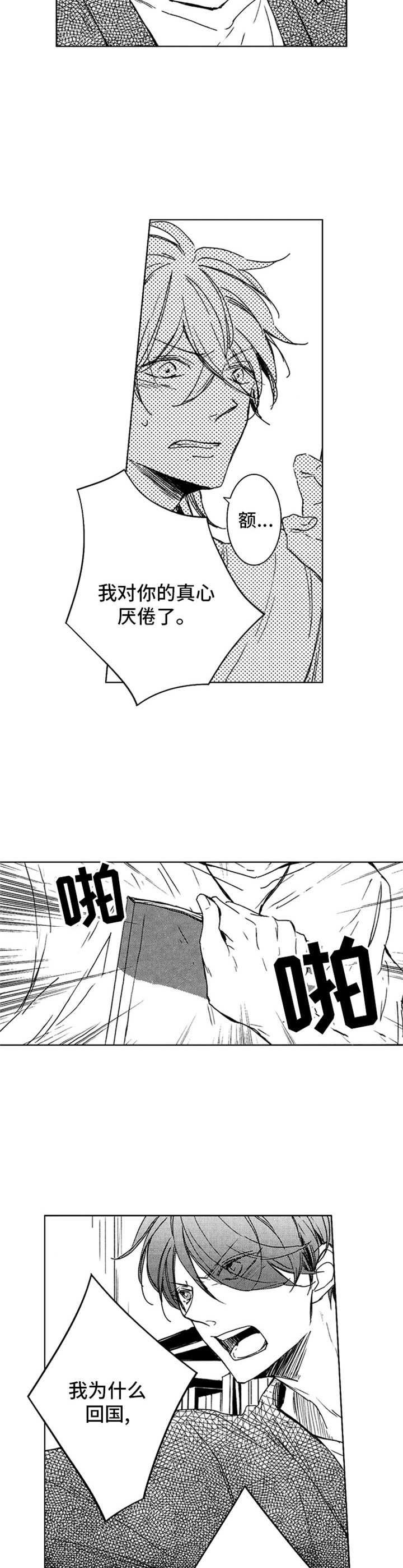 第27章：解释