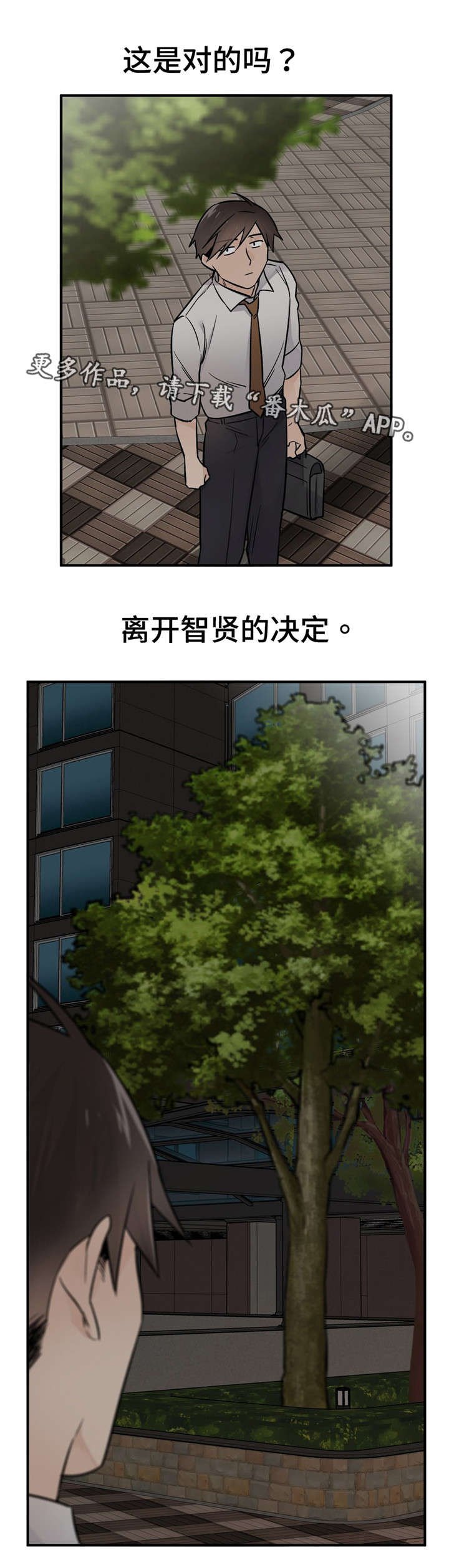 第41章：两个选项