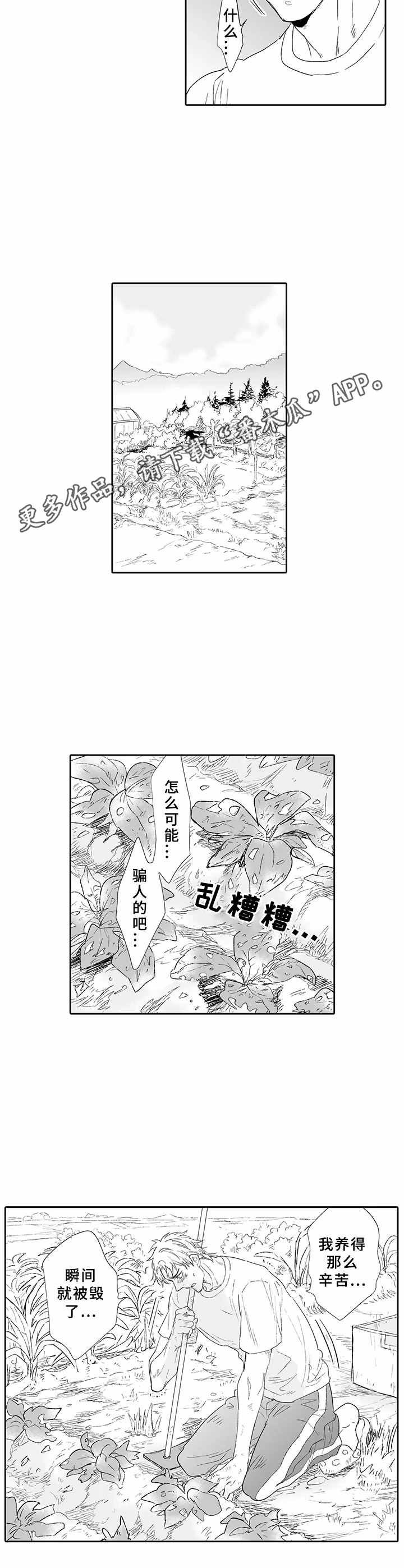 第11章：挫败感