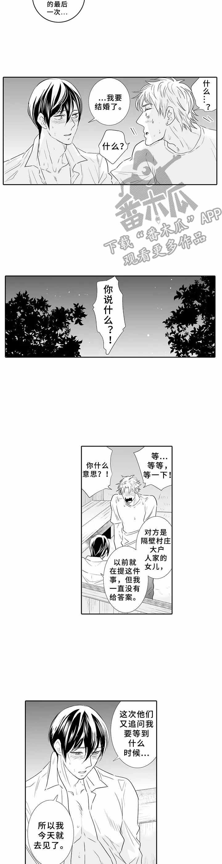 第13章：决心