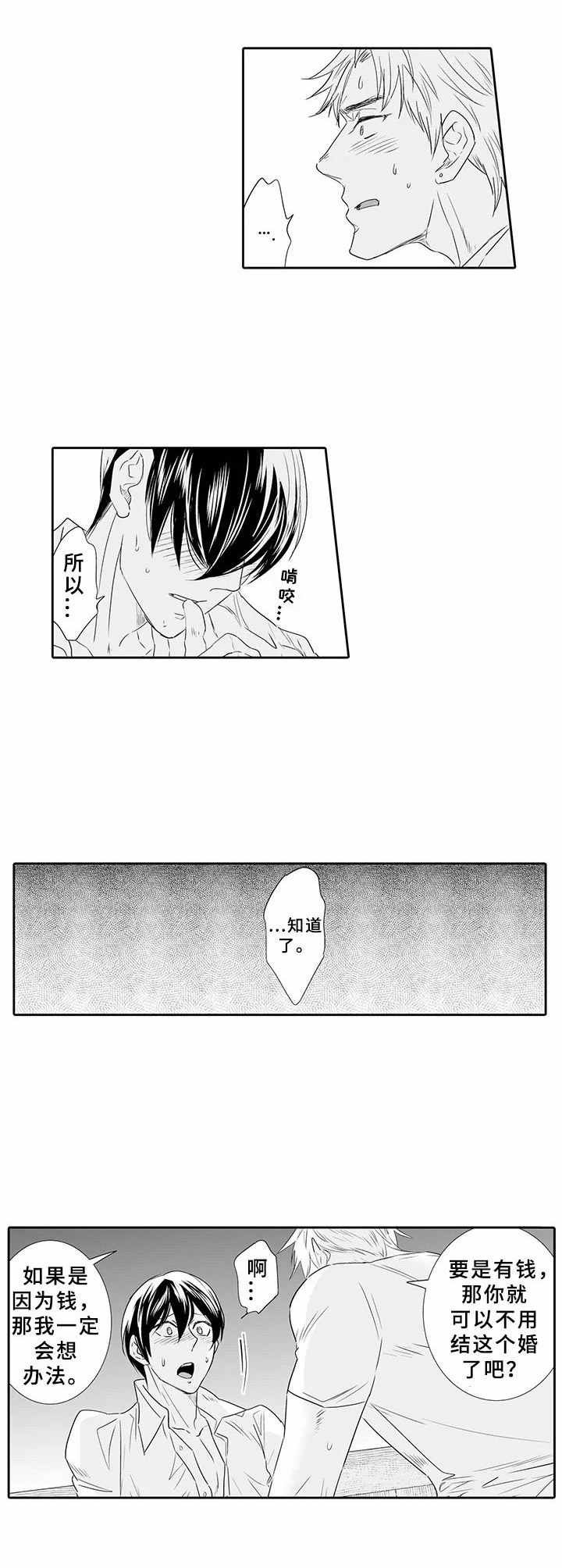 第13章：决心