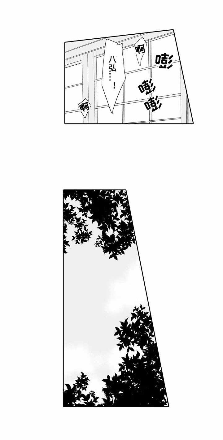第8章：肥料