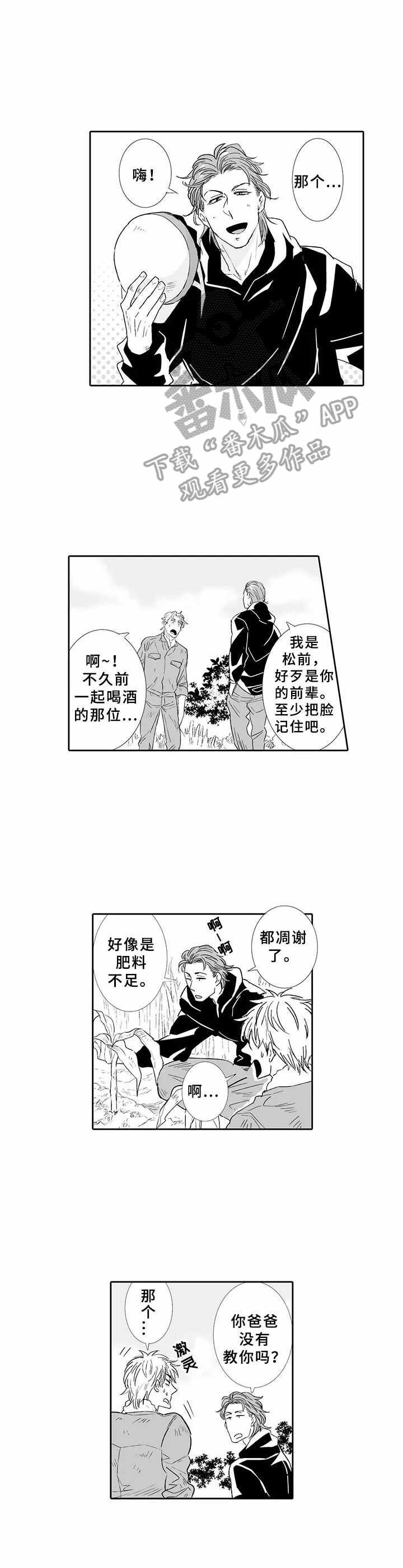 第8章：肥料
