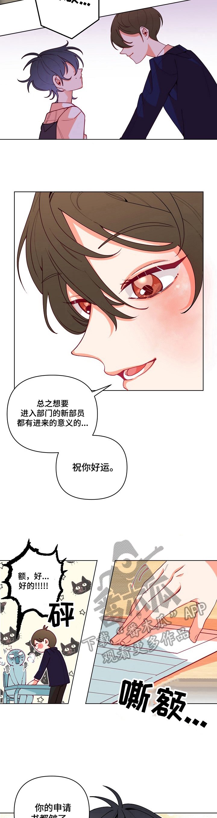 第20章：面试