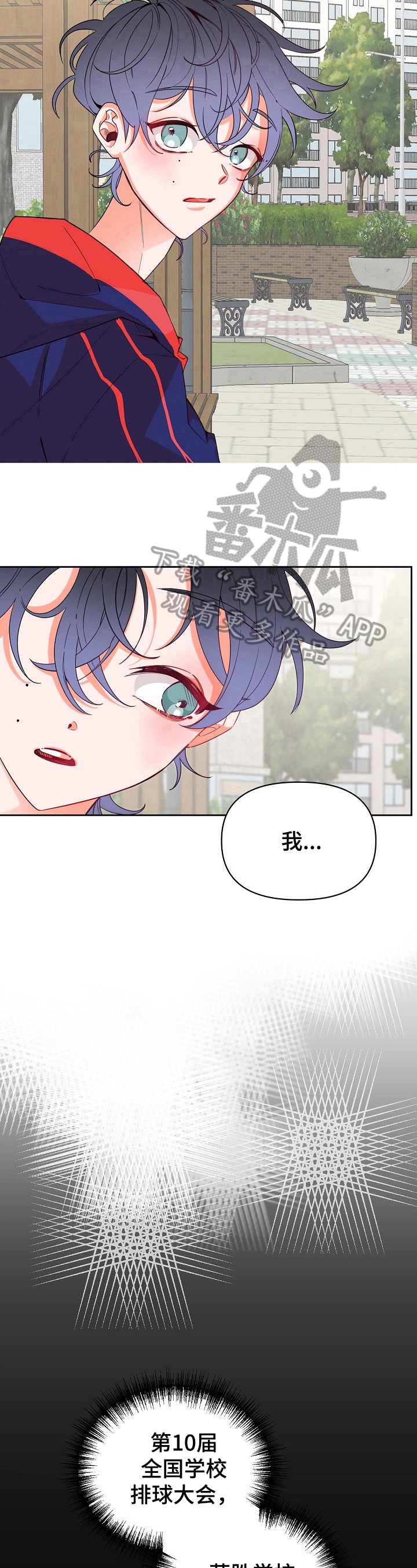 第31章：相片
