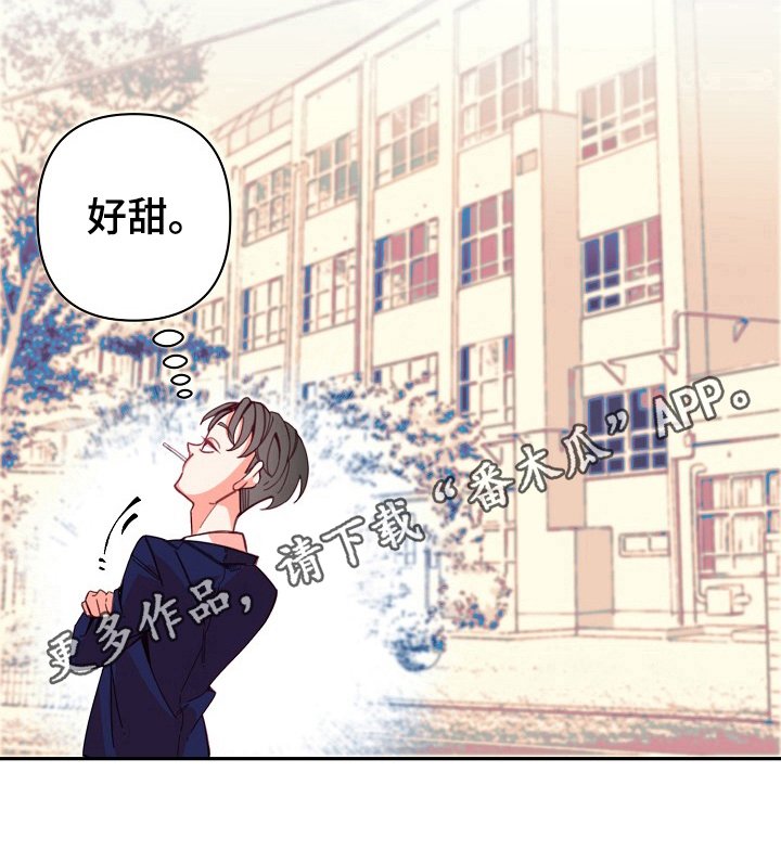 第6章：甜食