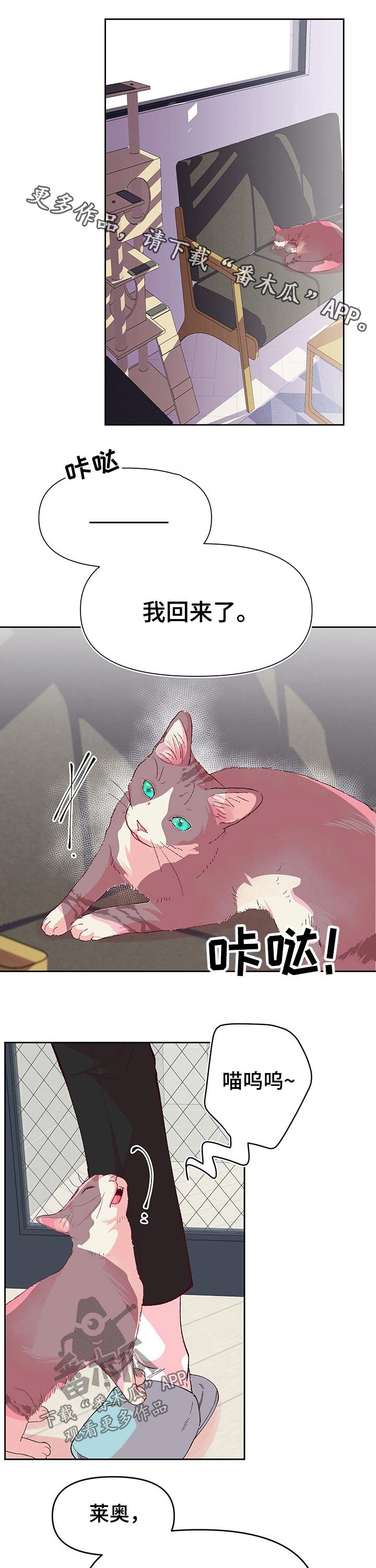 第81章：姐姐