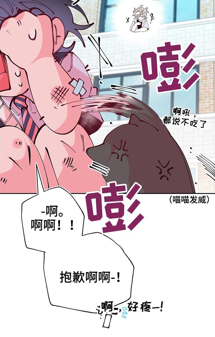 第82章：遇见