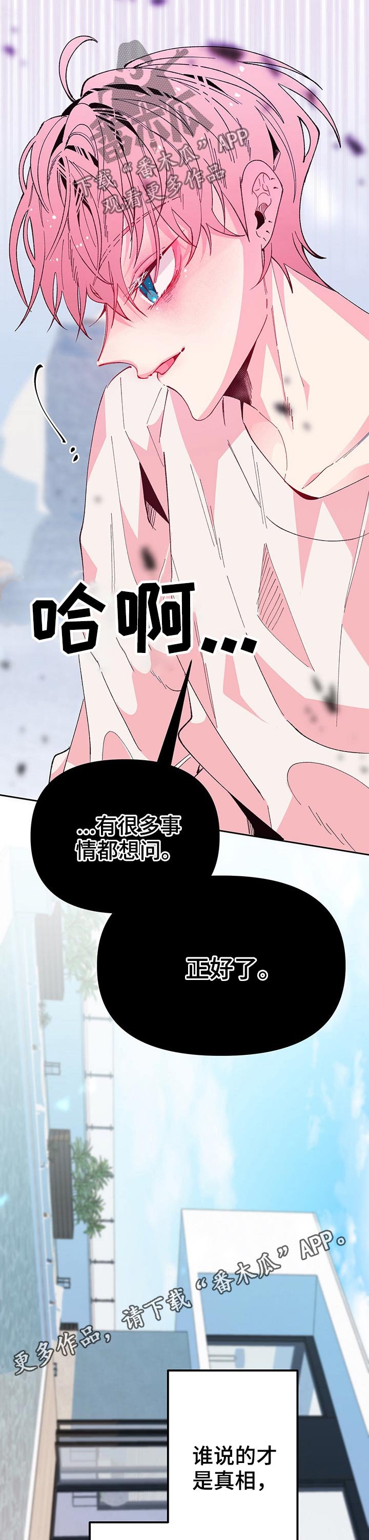 第84章：相见
