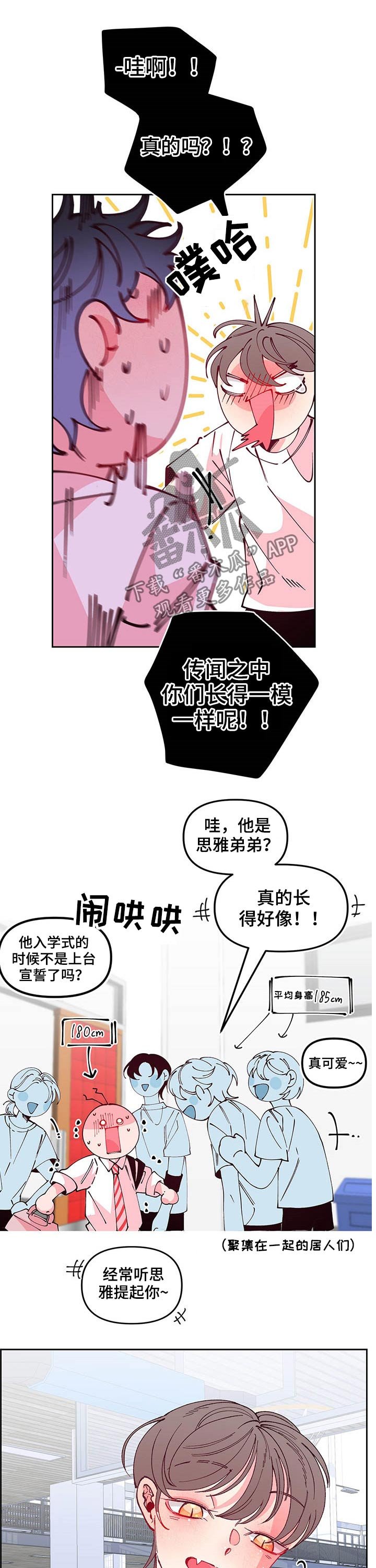 第86章：训练