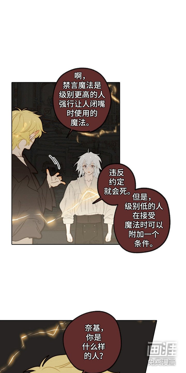 第11章：条件