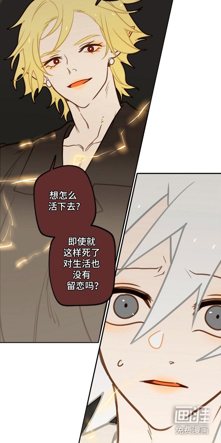 第11章：条件