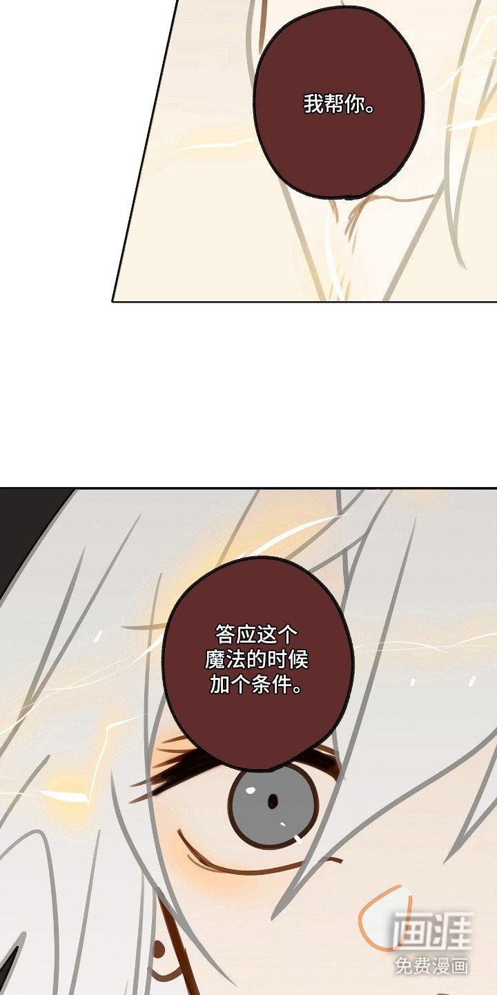 第11章：条件