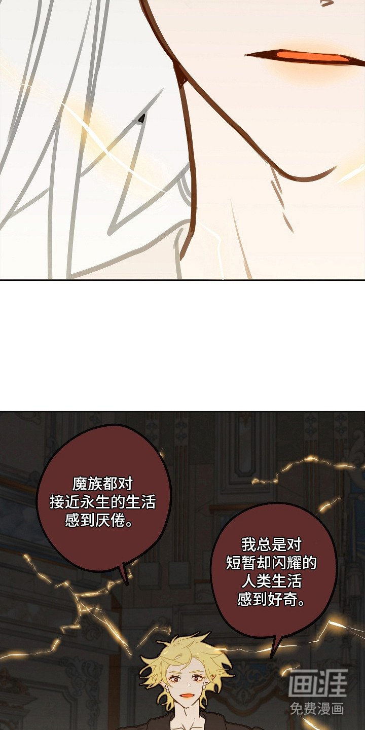 第11章：条件