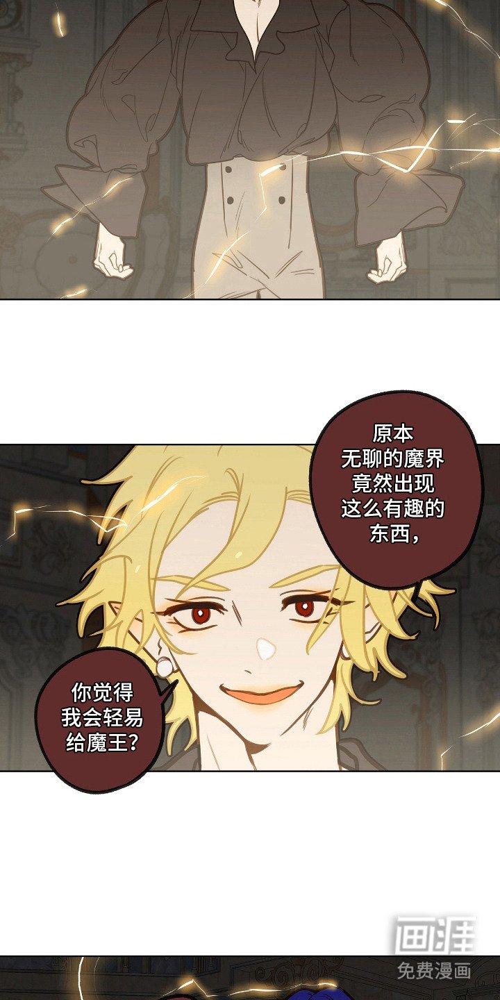 第11章：条件