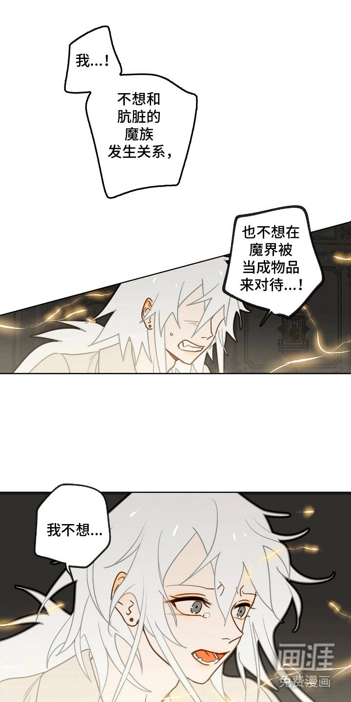第11章：条件