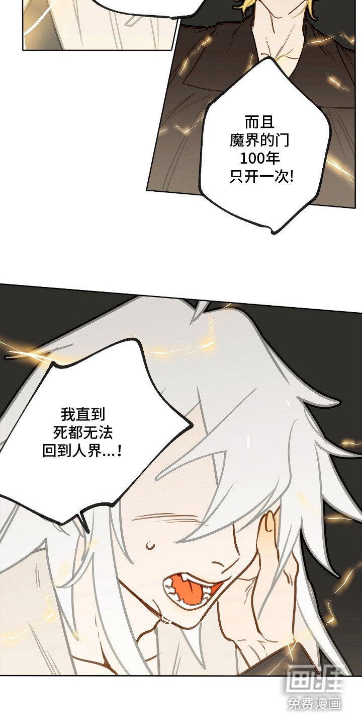 第11章：条件