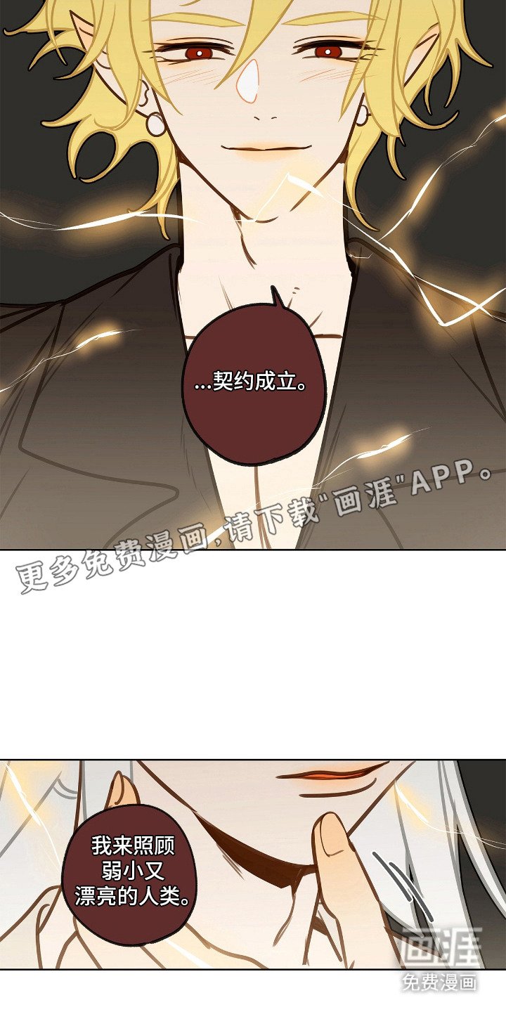 第12章：怀孕了