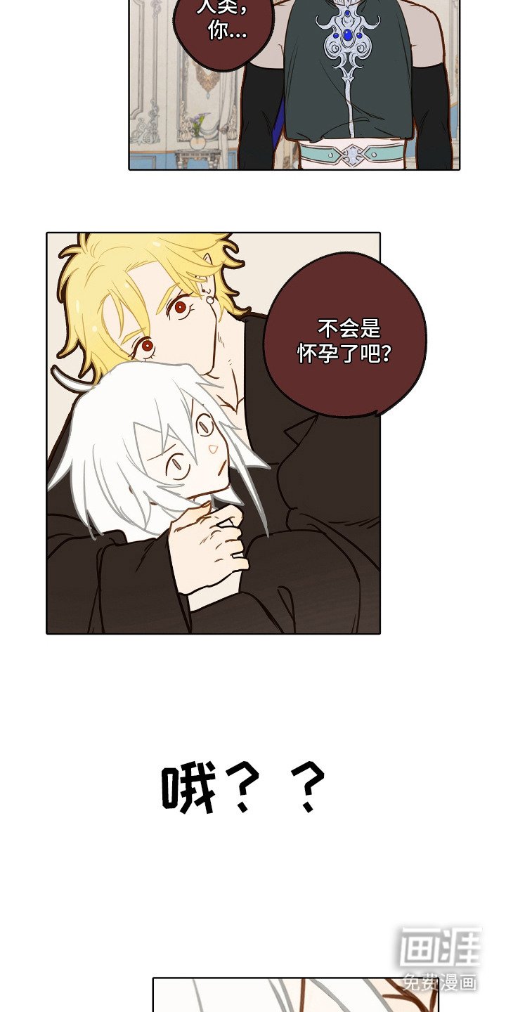 第12章：怀孕了