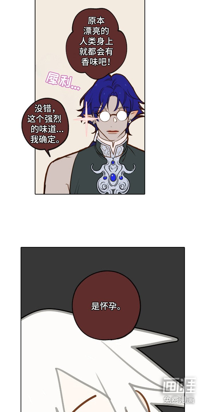 第12章：怀孕了