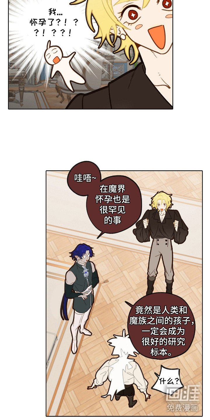第12章：怀孕了