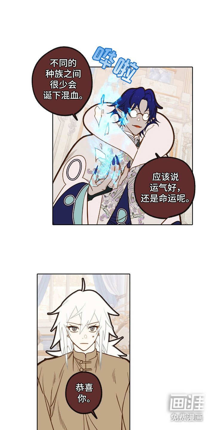 第13章：检查