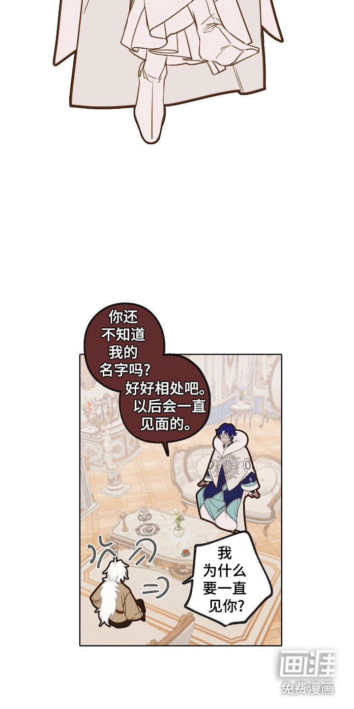 第13章：检查