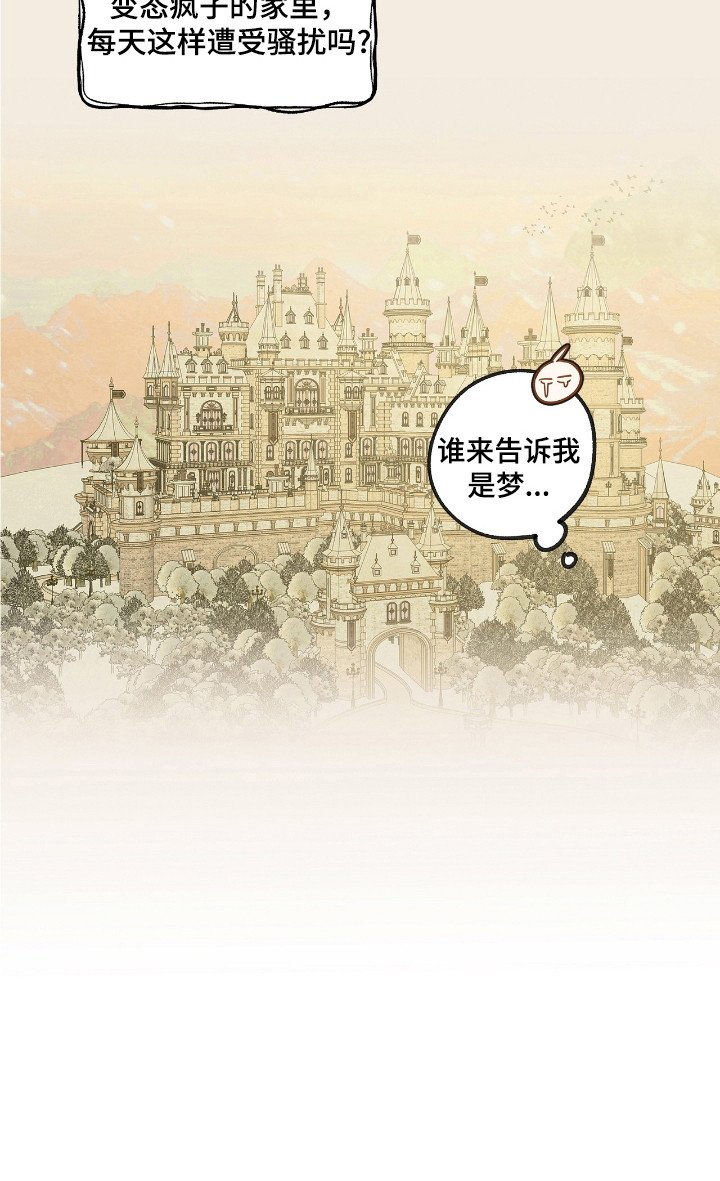 第13章：检查