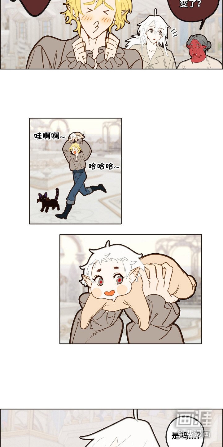 第15章：健康的孩子