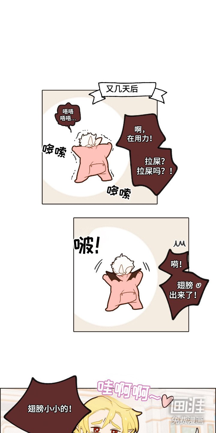 第16章：外形变化