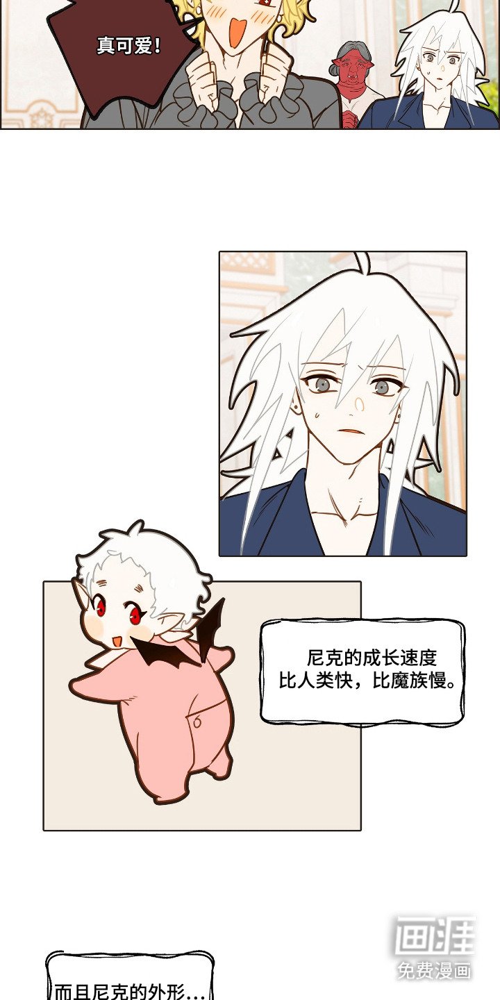 第16章：外形变化