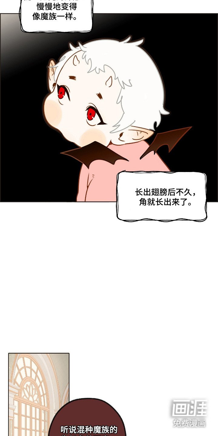 第16章：外形变化