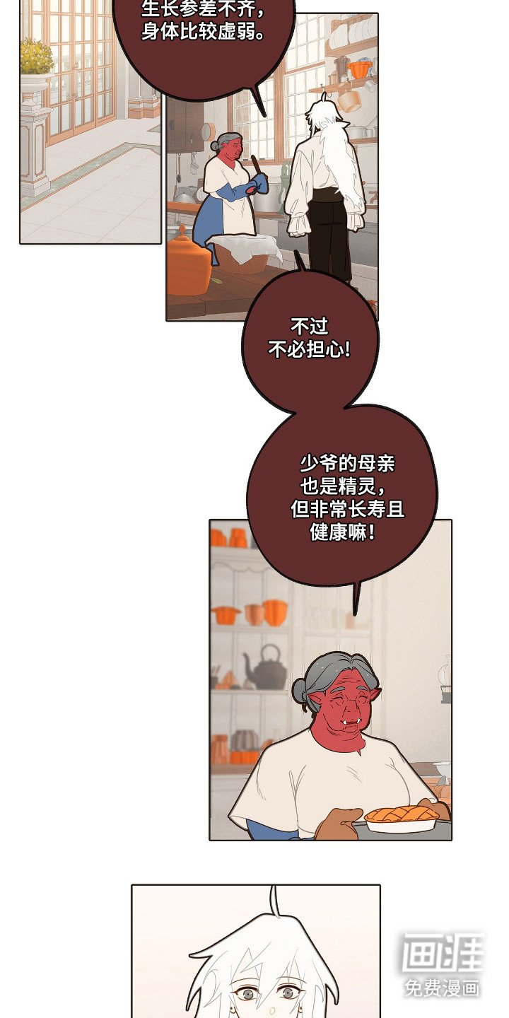 第16章：外形变化