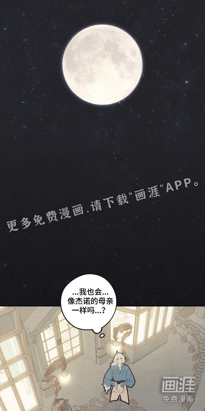 第16章：外形变化