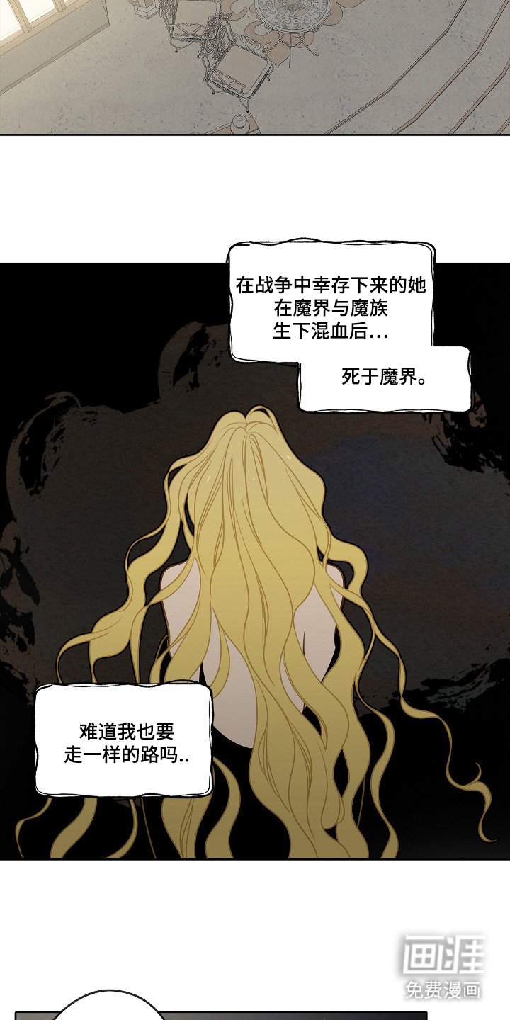 第16章：外形变化