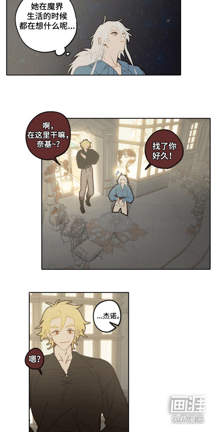 第16章：外形变化