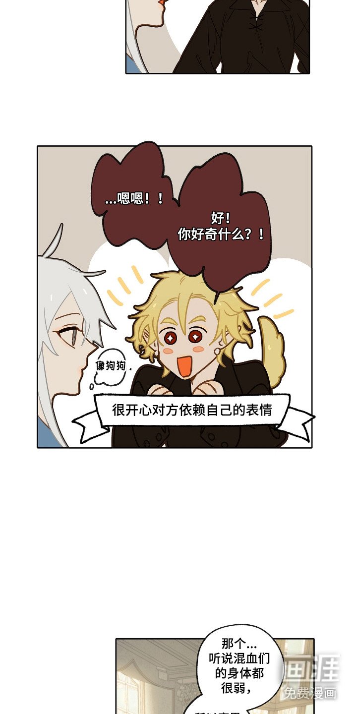 第16章：外形变化
